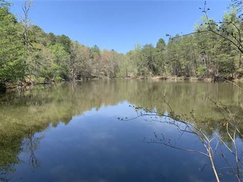 South Carolina Pond Land For Sale Pond Property For Sale Page 2 Of 6
