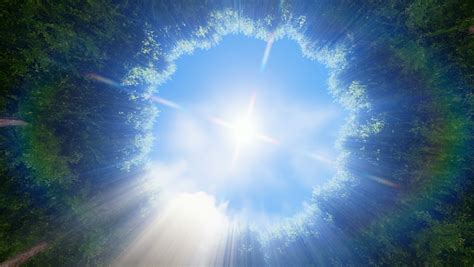 God Rays Through Circle Tree Stock Footage Video 100 Royalty Free