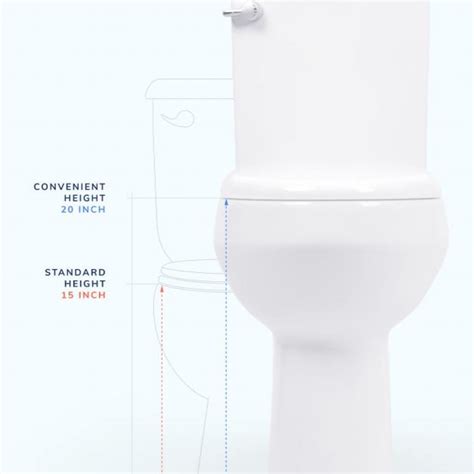 Convenient Height Toilet Extra Tall Toilet Many Bidets