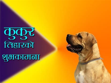 Happy Kukur Tihar 50 Images Wishes Cards For Dog Festival Of Nepal