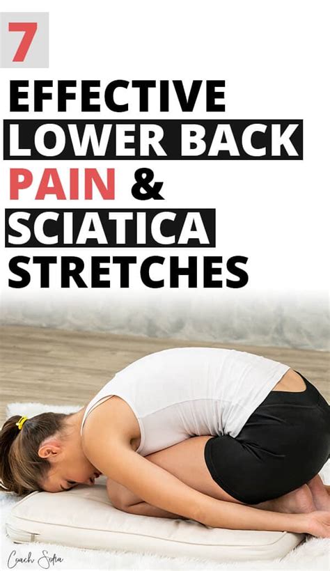 Back Stretches For Pain Lower Back Exercises Sciatica