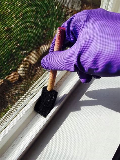 16 Window Cleaning Tips For The Cleanest Windows Ever