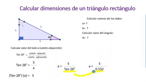Razones trigonométricas Solución de triángulos rectángulos YouTube