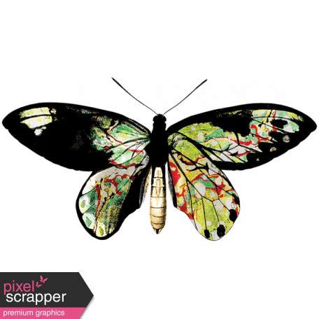The Lucky One - Rainbow Butterfly | Rainbow butterfly, Butterfly graphic, Butterfly