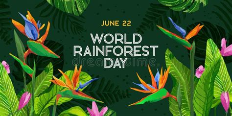 World Rainforest Day Colorful Banner For Social Media Card Poster
