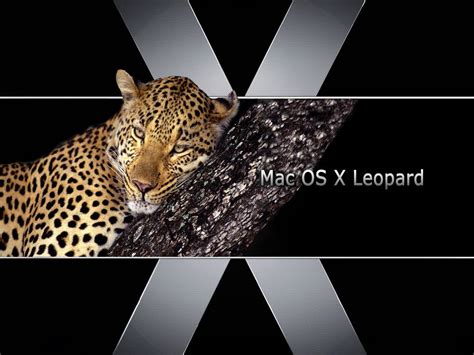 Apple Mac Os X Jaguar 1024x768 Wallpaper