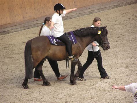 Filetherapeutic Horseback Riding 2 Wikimedia Commons