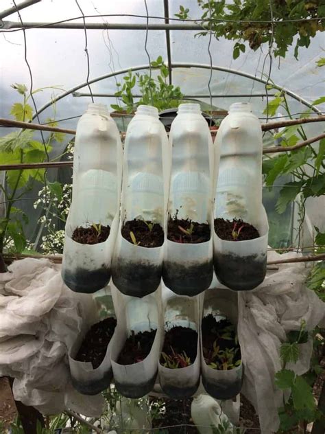 21 Innovative Uses For Plastic Milk Containers In Your Garden Plastic
