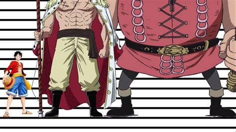 One Piece Size Comparison Tallest Characters Youtube Hot Sex Picture