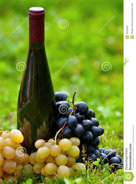 Bottle Of Wine And Grapes In Grass Stock Image Image Of Food Farm