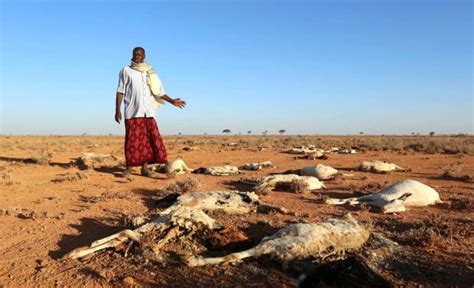 Seca Causa Mais De 100 Mortes Em 48 Horas Na Somália Rede Angola