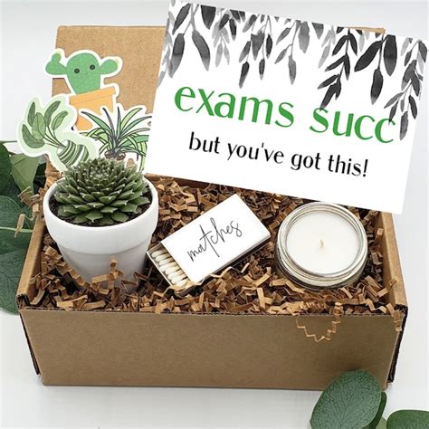 Buy College Care Package Etsy