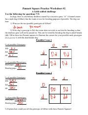 Punnett Square Problems 2 Pdf Punnett Square Practice Worksheet 2 A