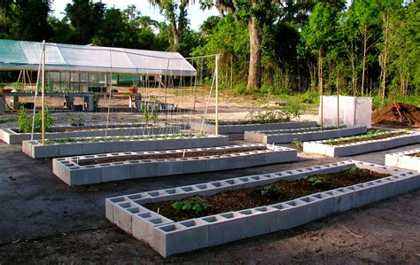 Florida Raised Beds Gardens - Growin' Crazy Acres