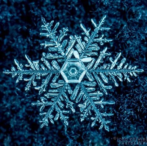 A Few Favorite Snowflake Photos Earth Earthsky