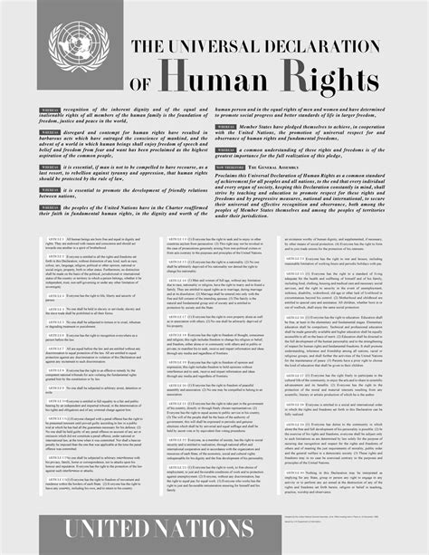united nations universal declaration of human rights udhr history of human rights