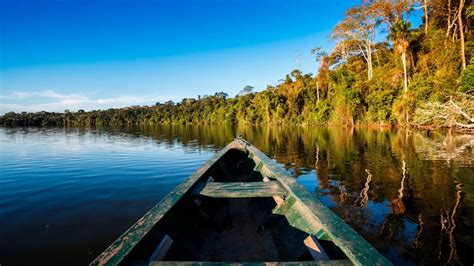 Luxury Amazon Rainforest Tour Hayes And Jarvis Holidays