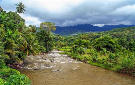 Bukit Barisan The Tropical Rainforest Heritage Of Sumatra Travel
