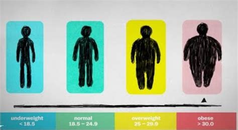 Why Bmi Is A Flawed Index For Obesity Digg