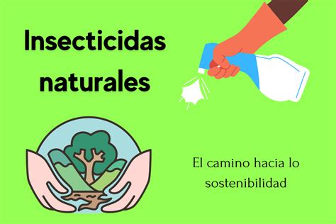 Insecticidas Naturales El Camino Hacia La Sostenibilidad