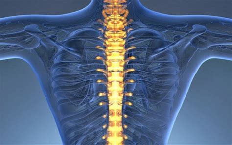 Patolog As De La Columna Vertebral Qu Es S Ntomas Y Tratamiento