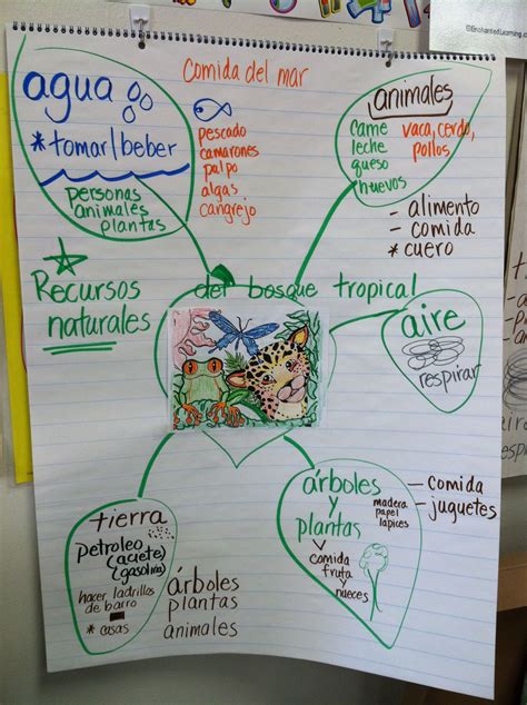 Rainforest Natural Resources Spanish Reading Anchor Charts Anchor