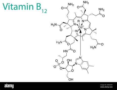 An Illustration Of A Vitamin B12 Molecule Isolated On A White