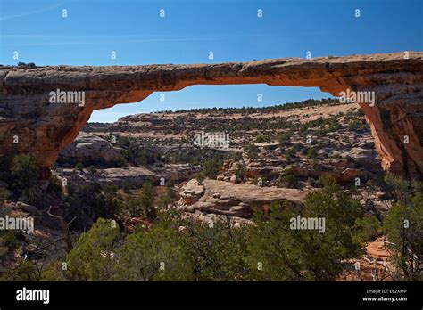 Owachomo Natural Bridge Natural Bridges National Monument Utah Usa