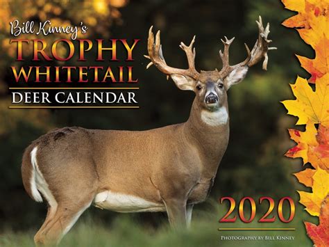 Deer And Deer Hunting 2025 Calendar