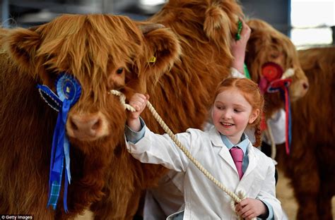 Girl Farmer Leads Out Her Prize To Auction At Annual Sale Of Highland