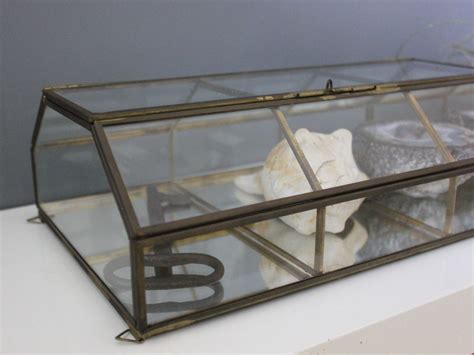 Glass And Brass Vintage Mirrored Display Box Jewelry Air Plant Terrarium
