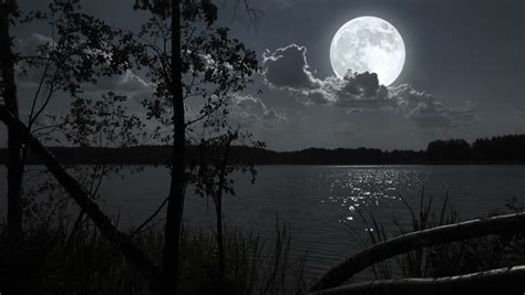 Nature Full Moon Night Landscape With Forest Lake Stock Footage Video