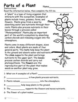Air pollution pollution worksheet 1 plant life cycle worksheet for kids pdf science unit 8 2nd grade plants. Plants - Parts of a Plant - Plant Introduction Reading and ...