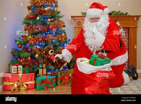 Santa Claus Or Father Christmas Putting Presents Under The Tree Stock