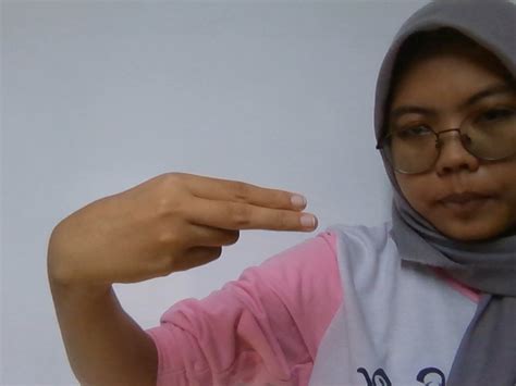 Bismillah Object Detection Dataset By Project Sign Language