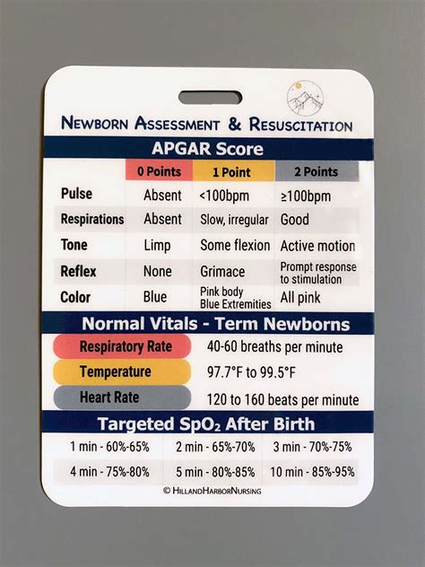 Newborn Assessment And Resuscitation Nrp Large 3x4 Nursing Etsy