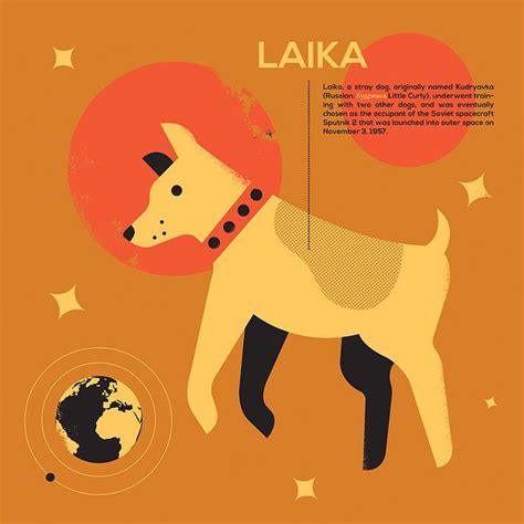 Laika Space Illustration Space Dog Space Animals