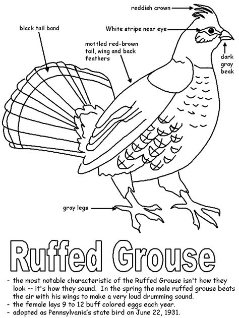 This ensures that both mac and windows users can download the coloring sheets and that your coloring pages aren't covered with ads or other web. Homeschoolshare