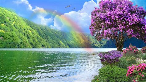 35 Natural Rainbow Hd Wallpapers On Wallpapersafari