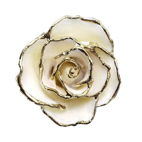 24k Gold Forever Rose White Pearl June Birthstone In 2022 June
