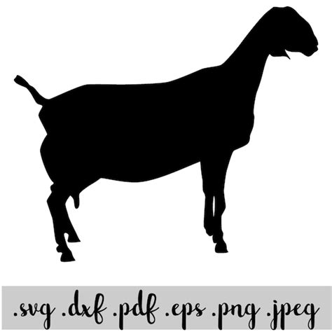 Nubian Goat Svg Instant Download Etsy