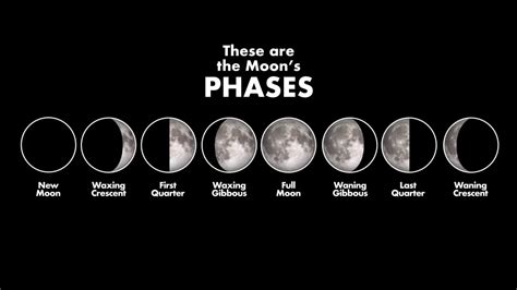 Are There Really 12 Phases Of The Moon Exploring Lunar Mysteries