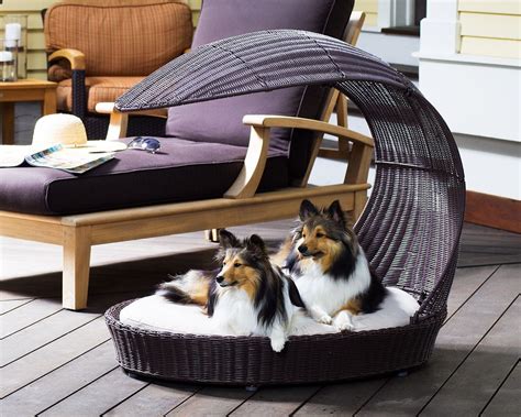Epic Dog Canopy Bed Ideas Ann Inspired