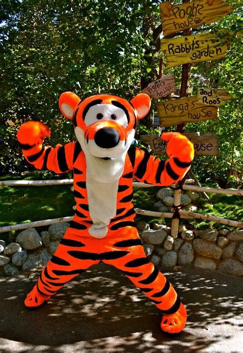 Tigger Tigger Disney Disney World Characters Tigger