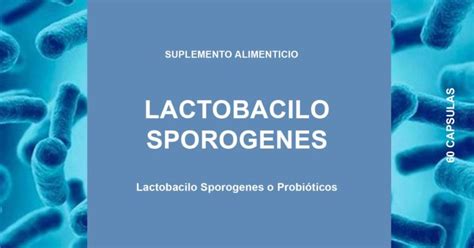 Lactobacilos Sporogenes Probióticos Propiedades Beneficios Y Cómo