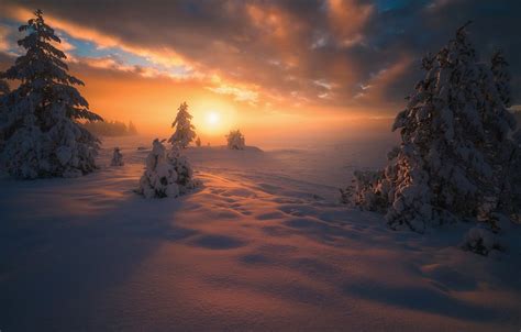Wallpaper Sunset Winter Snow Images For Desktop Section пейзажи