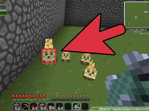Learn how by reading about my own personal experience! How to Tame an Ocelot in Minecraft: 10 Steps (with Pictures)