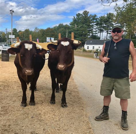 A Day At A Maine Agricultural Fair Terry Golson