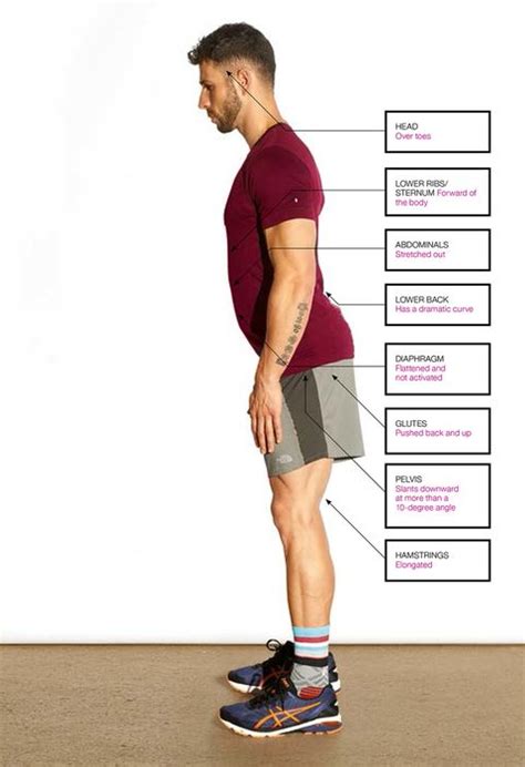 The lower back and hip share many groups of muscles. What's causing your tight hips and hamstrings?