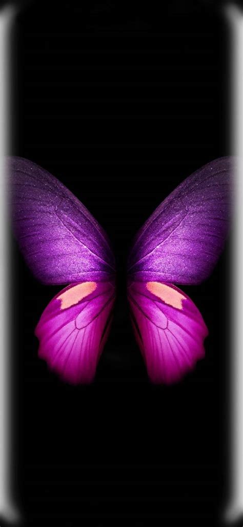 Samsung Butterfly Wallpaper Kolpaper Awesome Free Hd Wallpapers